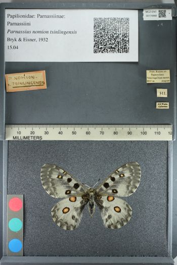 Media type: image;   Entomology 174968